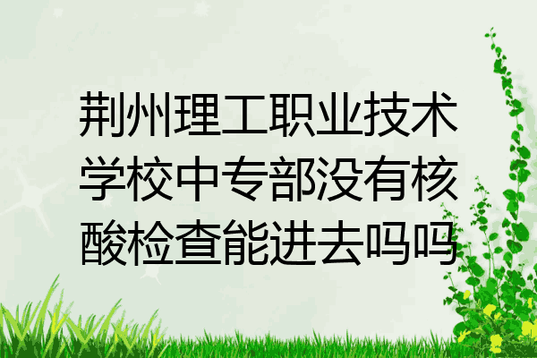 荆州理工职业技术学校中专部没有核酸检查能进去吗吗