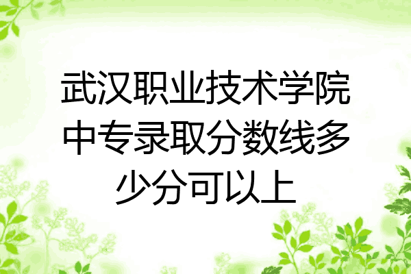 武汉职业技术学院中专录取分数线多少分可以上