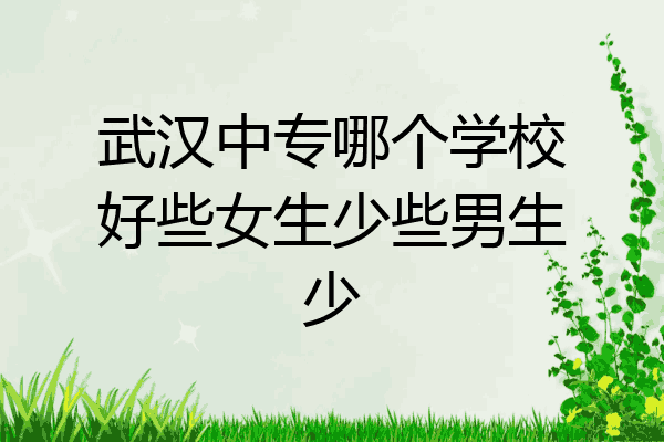 武汉中专哪个学校好些女生少些男生少