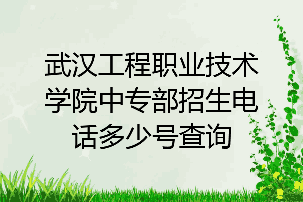 武汉工程职业技术学院中专部招生电话多少号查询