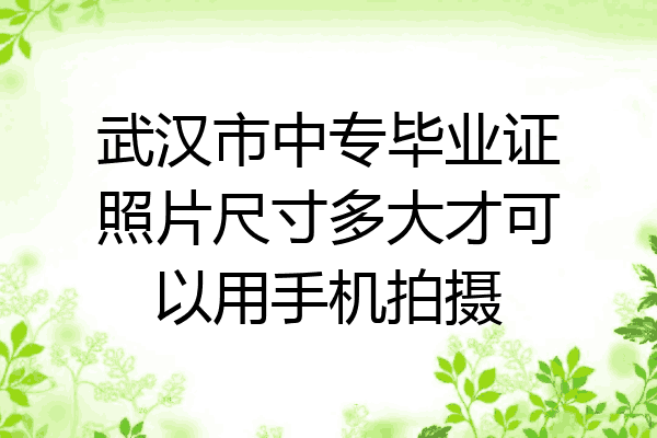 武汉市中专毕业证照片尺寸多大才可以用手机拍摄