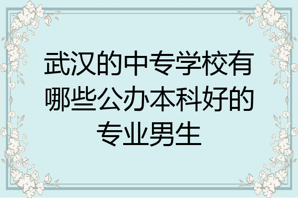 武汉的中专学校有哪些公办本科好的专业男生