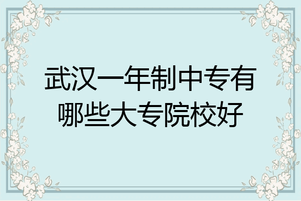 武汉一年制中专有哪些大专院校好