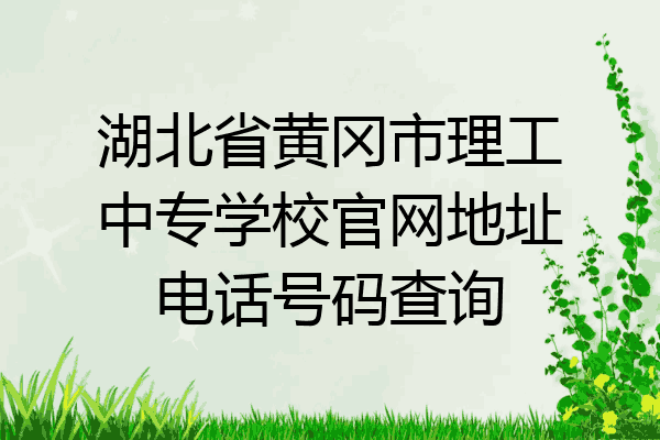 湖北省黄冈市理工中专学校官网地址电话号码查询