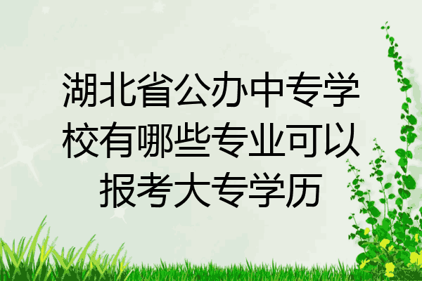 湖北省公办中专学校有哪些专业可以报考大专学历