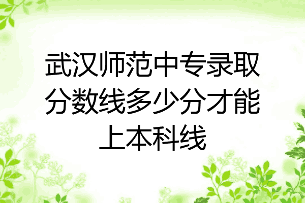 武汉师范中专录取分数线多少分才能上本科线