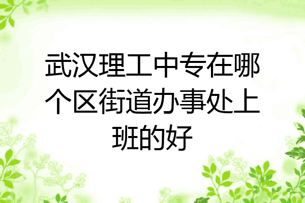武汉理工中专在哪个区街道办事处上班的好