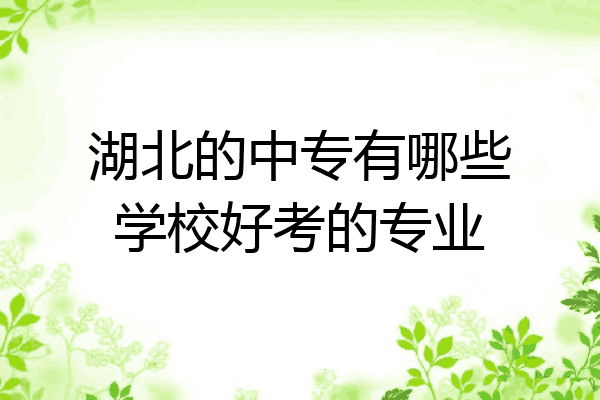 湖北的中专有哪些学校好考的专业