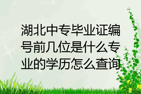 湖北中专毕业证编号前几位是什么专业的学历怎么查询