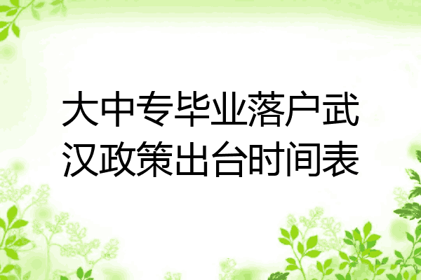 大中专毕业落户武汉政策出台时间表