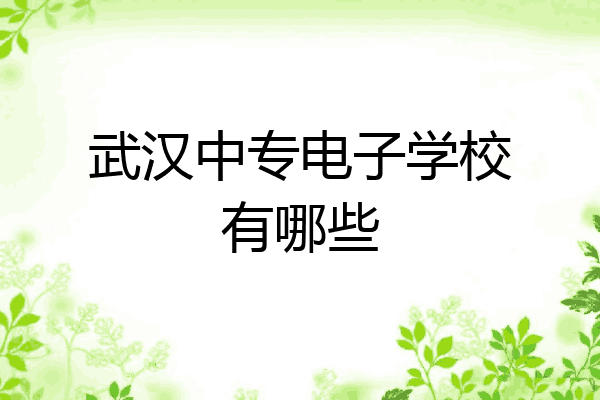 武汉中专电子学校有哪些