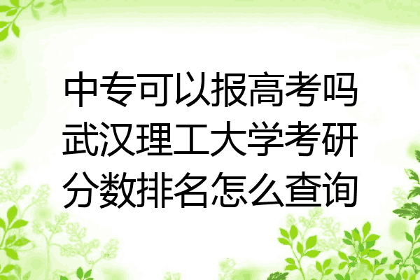 中专可以报高考吗武汉理工大学考研分数排名怎么查询