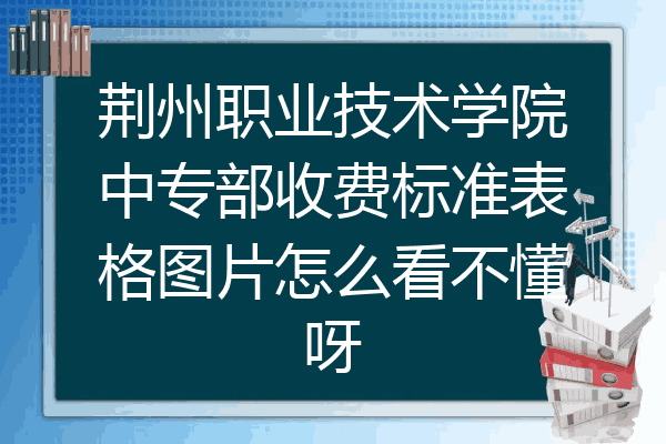 荆州职业技术学院中专部收费标准表格图片怎么看不懂呀