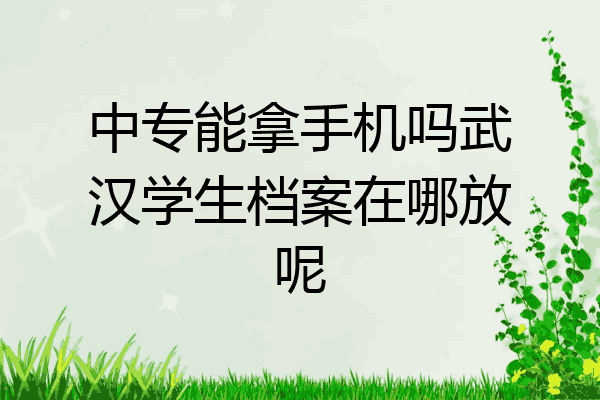 中专能拿手机吗武汉学生档案在哪放呢