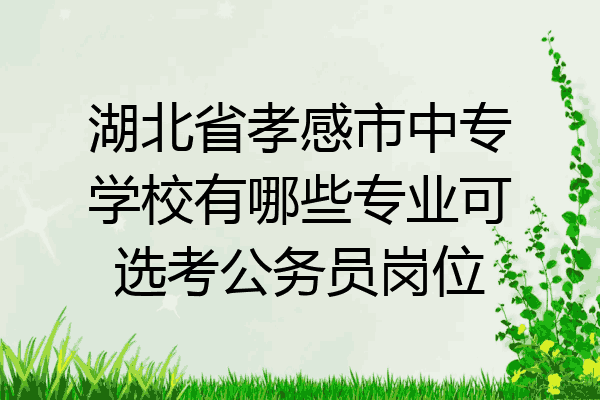 湖北省孝感市中专学校有哪些专业可选考公务员岗位