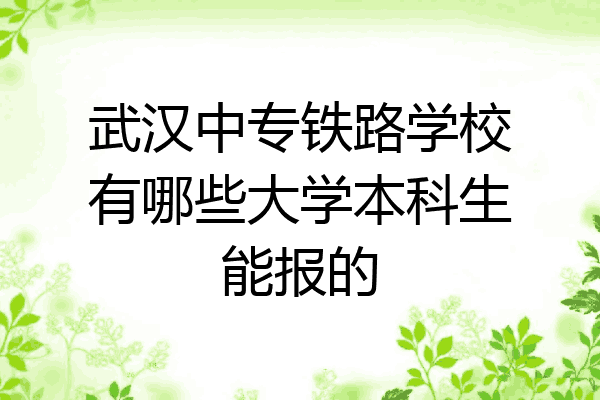 武汉中专铁路学校有哪些大学本科生能报的