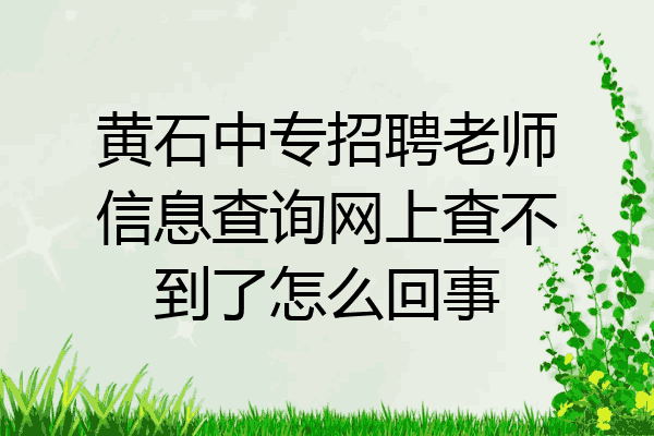 黄石中专招聘老师信息查询网上查不到了怎么回事