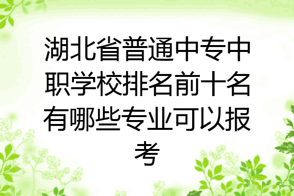 湖北省普通中专中职学校排名前十名有哪些专业可以报考