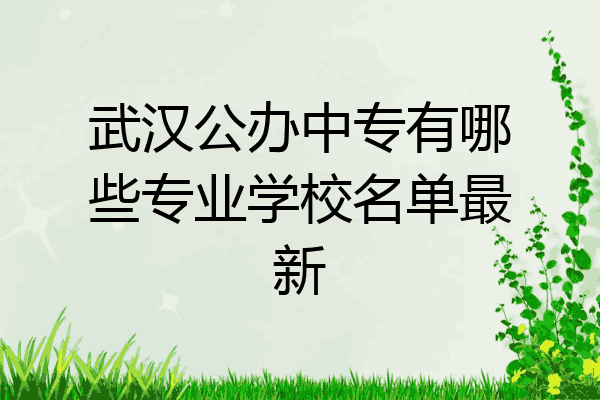 武汉公办中专有哪些专业学校名单最新