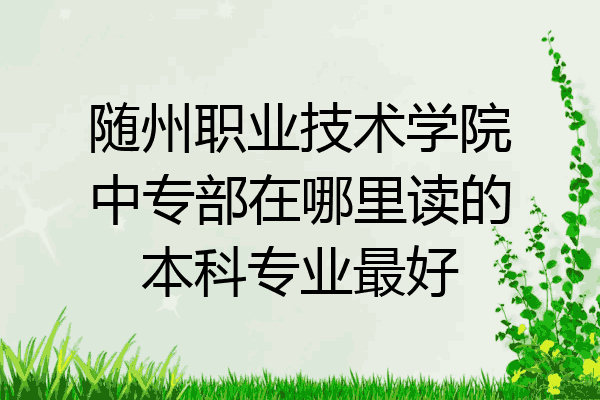 随州职业技术学院中专部在哪里读的本科专业最好