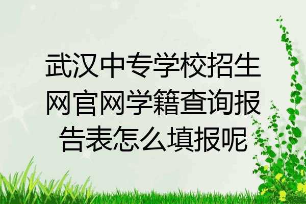 武汉中专学校招生网官网学籍查询报告表怎么填报呢
