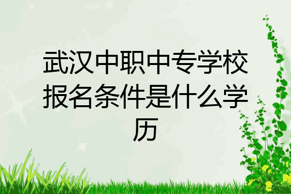 武汉中职中专学校报名条件是什么学历