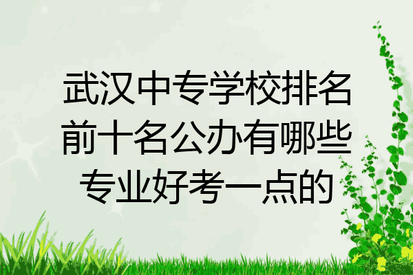 武汉中专学校排名前十名公办有哪些专业好考一点的