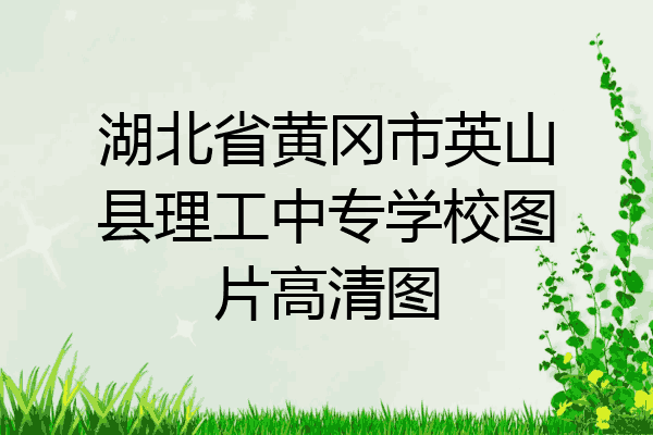 湖北省黄冈市英山县理工中专学校图片高清图