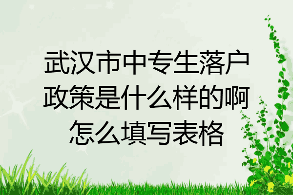 武汉市中专生落户政策是什么样的啊怎么填写表格