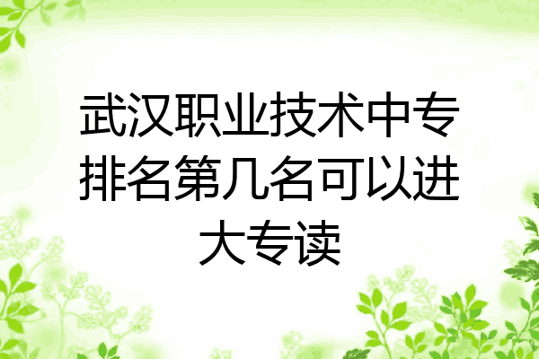 武汉职业技术中专排名第几名可以进大专读