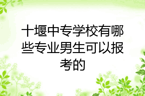 十堰中专学校有哪些专业男生可以报考的