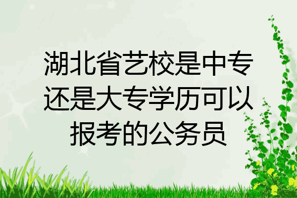 湖北省艺校是中专还是大专学历可以报考的公务员
