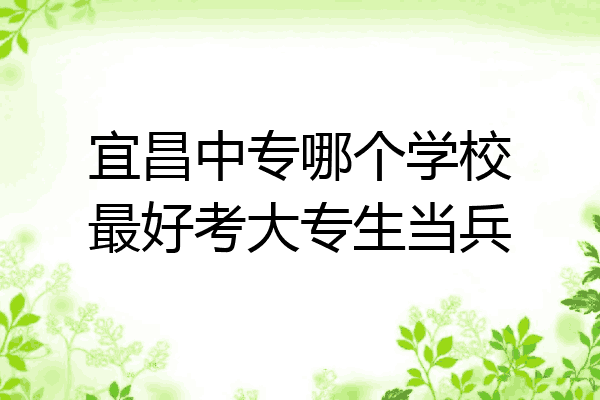 宜昌中专哪个学校最好考大专生当兵