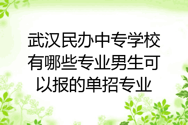 武汉民办中专学校有哪些专业男生可以报的单招专业