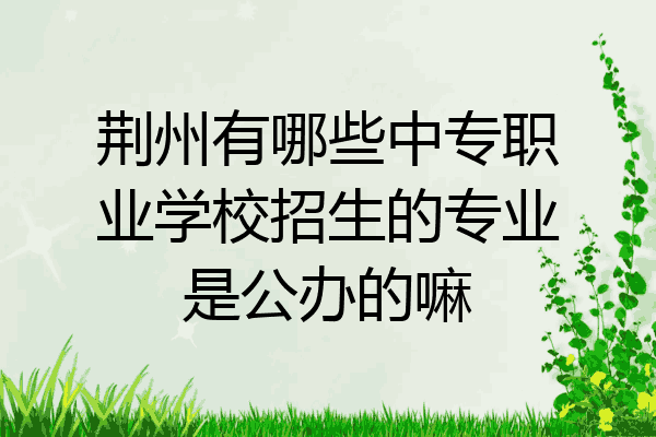 荆州有哪些中专职业学校招生的专业是公办的嘛