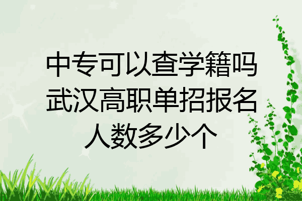 中专可以查学籍吗武汉高职单招报名人数多少个