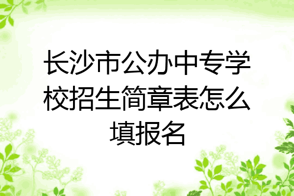 长沙市公办中专学校招生简章表怎么填报名