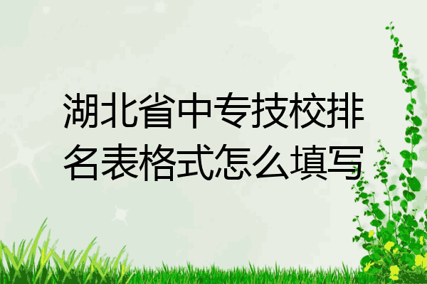 湖北省中专技校排名表格式怎么填写