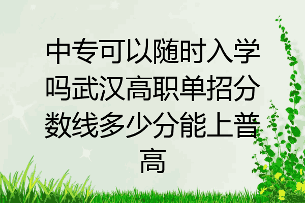 中专可以随时入学吗武汉高职单招分数线多少分能上普高