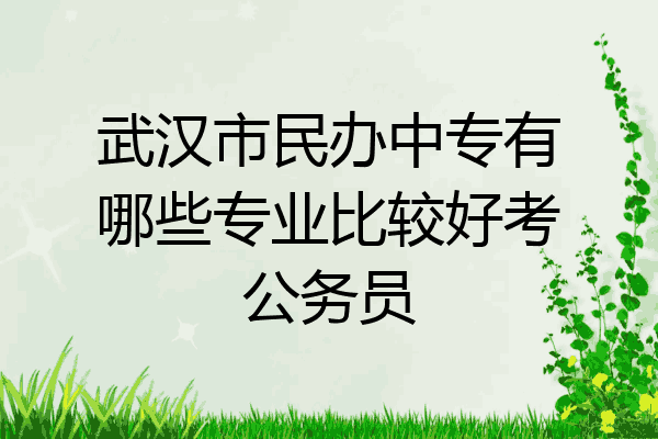 武汉市民办中专有哪些专业比较好考公务员