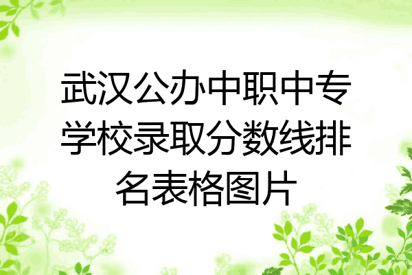 武汉公办中职中专学校录取分数线排名表格图片