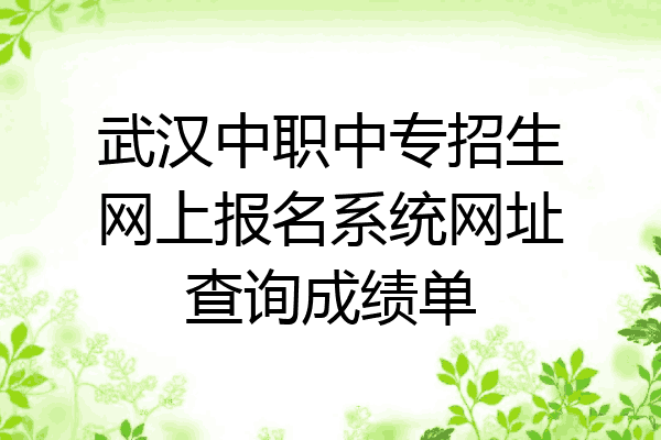 武汉中职中专招生网上报名系统网址查询成绩单