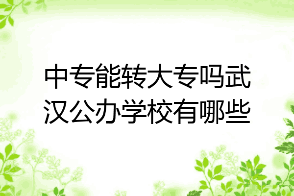 中专能转大专吗武汉公办学校有哪些