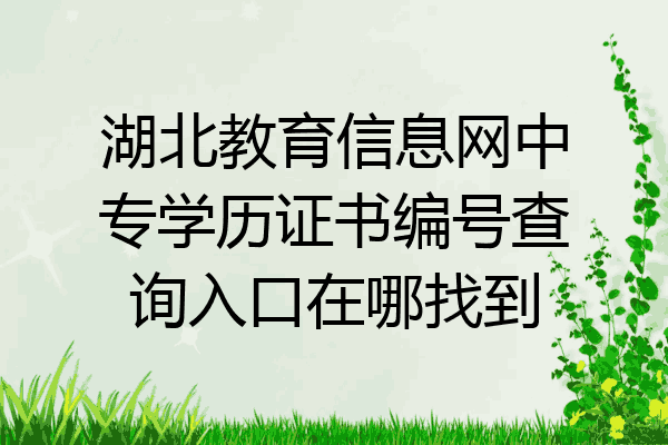 湖北教育信息网中专学历证书编号查询入口在哪找到