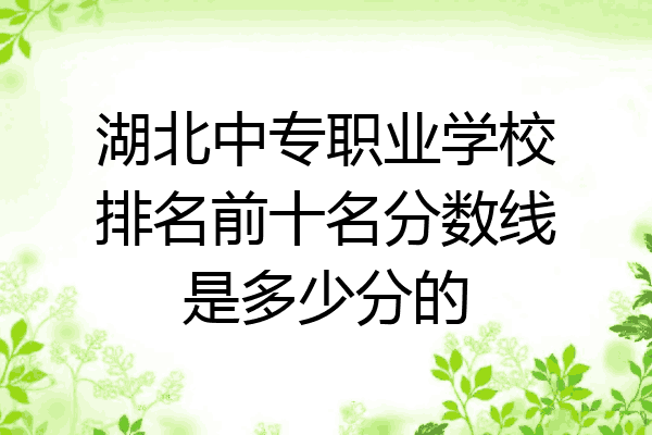 湖北中专职业学校排名前十名分数线是多少分的