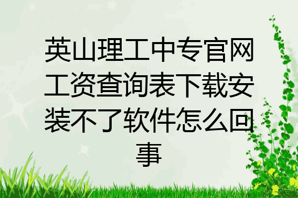 英山理工中专官网工资查询表下载安装不了软件怎么回事