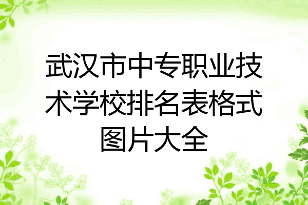 武汉市中专职业技术学校排名表格式图片大全