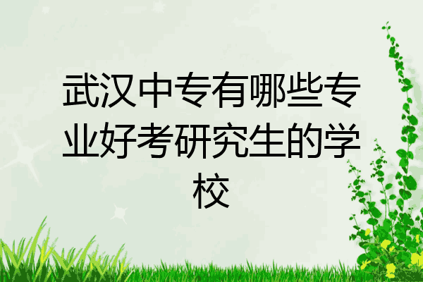 武汉中专有哪些专业好考研究生的学校