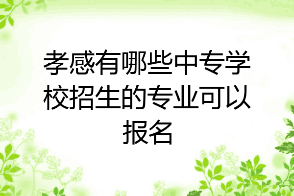 孝感有哪些中专学校招生的专业可以报名