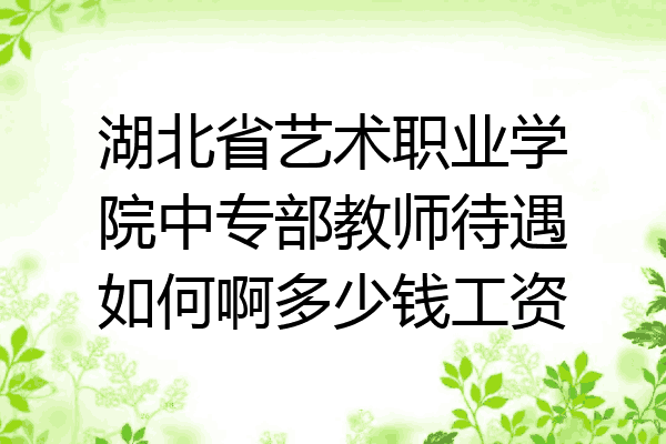 湖北省艺术职业学院中专部教师待遇如何啊多少钱工资